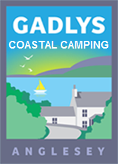 Gadlys Camping 2025